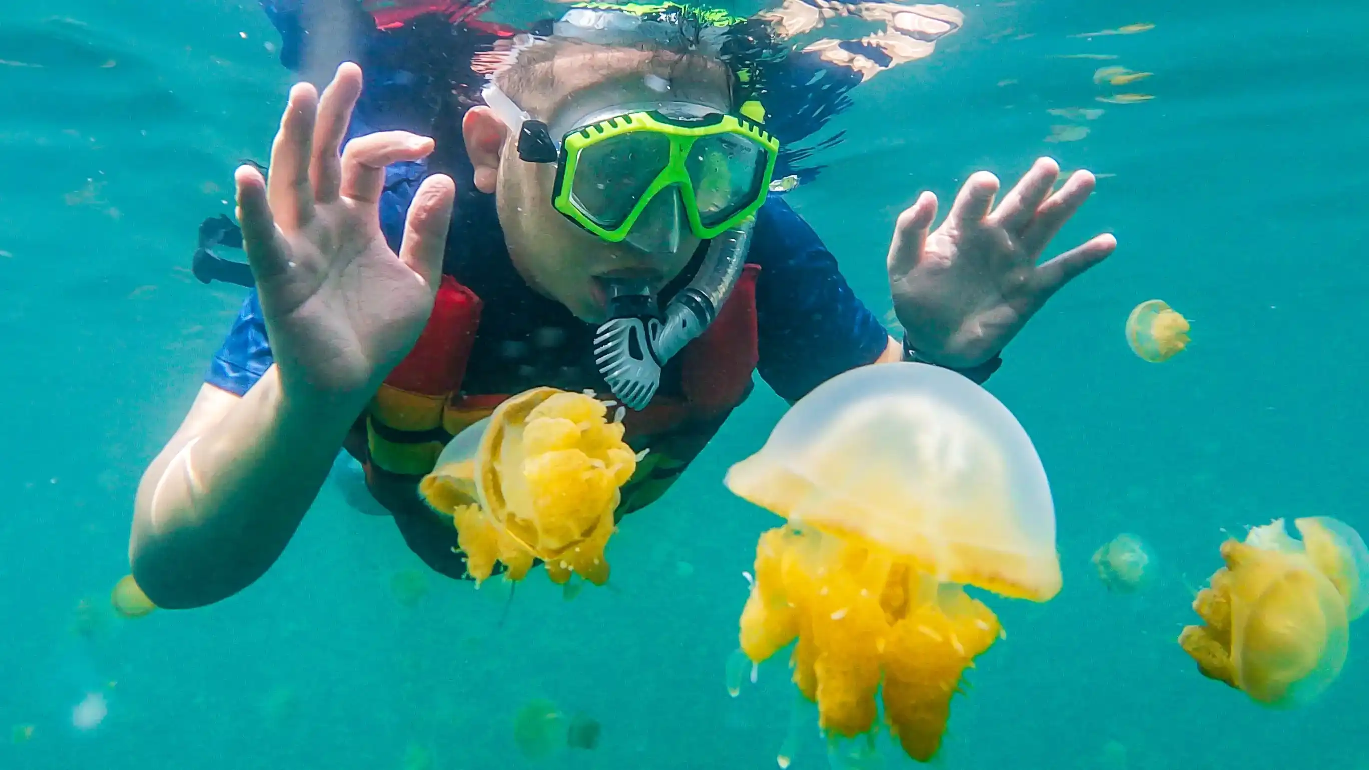 Kakaban Derawan Island | Invest Land Derawan